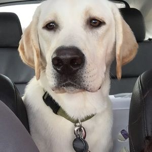 Meet your Posher, Stephen